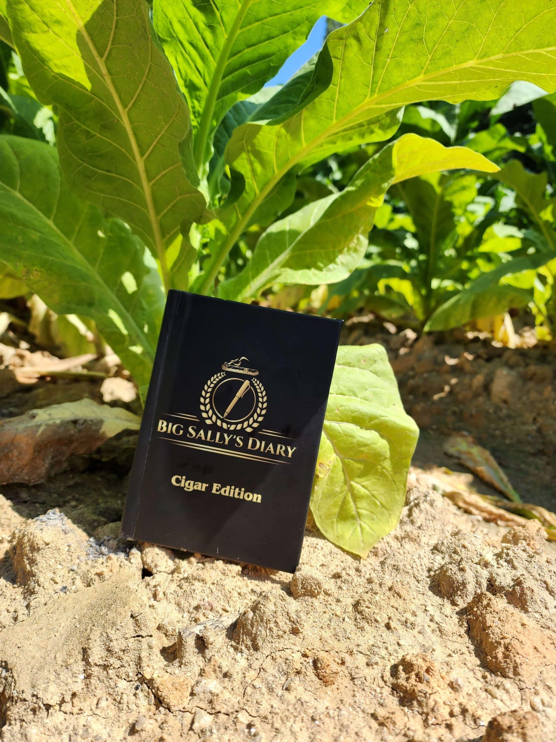 Big Sallys Cigar Journal in Tobacco Field